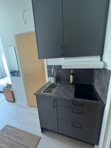 Norra Allégatan, Västerås - Photo 5