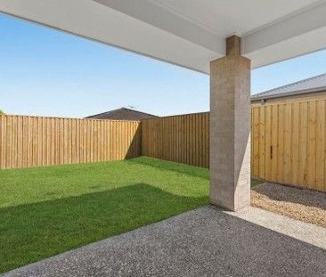 Brand new with low maintennace - Photo 1