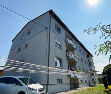 Geräumig und helle 2-Raumwohnung mit Balkon in Luftenberg - Photo 1