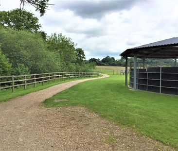 2 bedroom equestrian property to rent - Photo 5