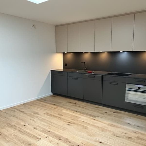 Schöne Singlewohnung in Küsnacht - Foto 1