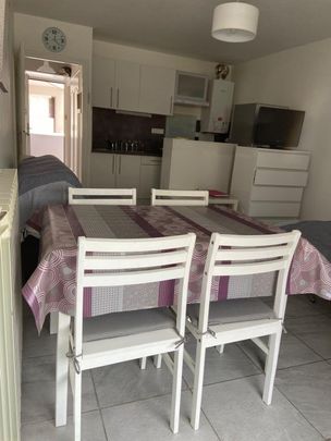 Location Appartement 1 pièce Meublé 26m² PALAVAS LES FLOTS 34250 - Photo 1