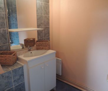 Location Appartement 1 pièce 15m² ORLEANS 45000 - Photo 1