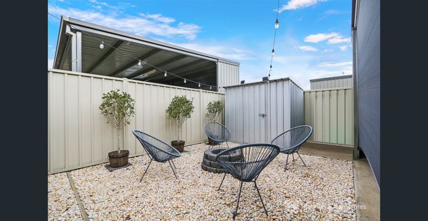 SETTLE IN BEFORE CHRISTMAS - Photo 1