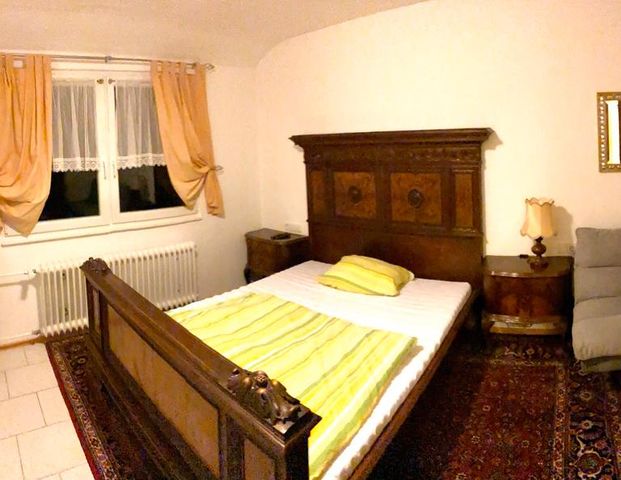 1 Zimmer Wohnung St.Blasien-Menzenschwand - Foto 1
