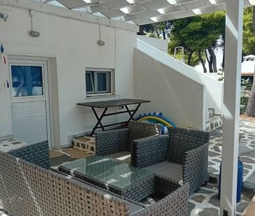 Μονοκατοικία για ενοικίαση Βραυρώνα (Μαρκόπουλο) - Photo 5