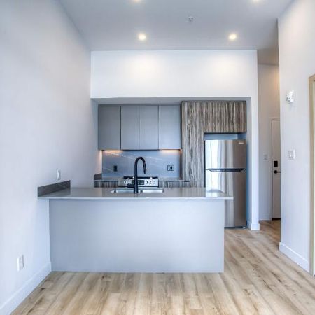 1 CH - 1 SDB - Outremont - $1,650 /mo - Photo 4
