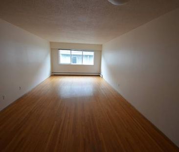 Charming 1 Bedroom Apartment - Photo 1