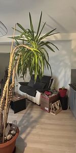 Location Appartement 2 pièces 41m² - Photo 4