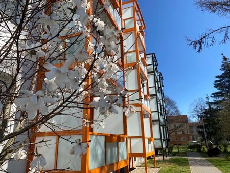 Erdgeschosswohnung in beliebter Wohnlage - Photo 3