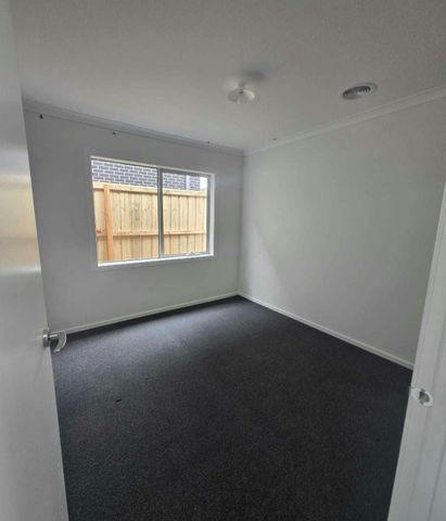 Brand New Family Living in Aintree Perfectly Positioned! - Photo 4