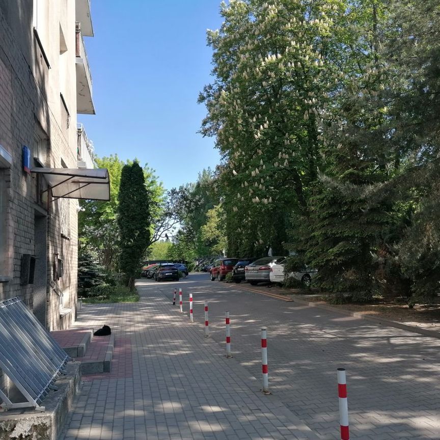 Kilmatyczne mieszkanie na Żoliborzu - Photo 1
