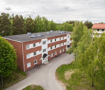 Ankarskatavägen 91 A, 94134, Piteå - Foto 1