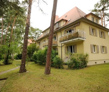 1-Zimmer-Wohnung in Erlangen Sieglitzhof - Photo 1