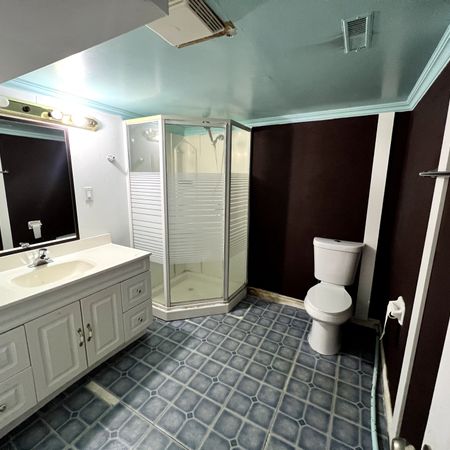 For Lease - 230 axminster Drive, Richmond Hill, Ontario - Photo 4