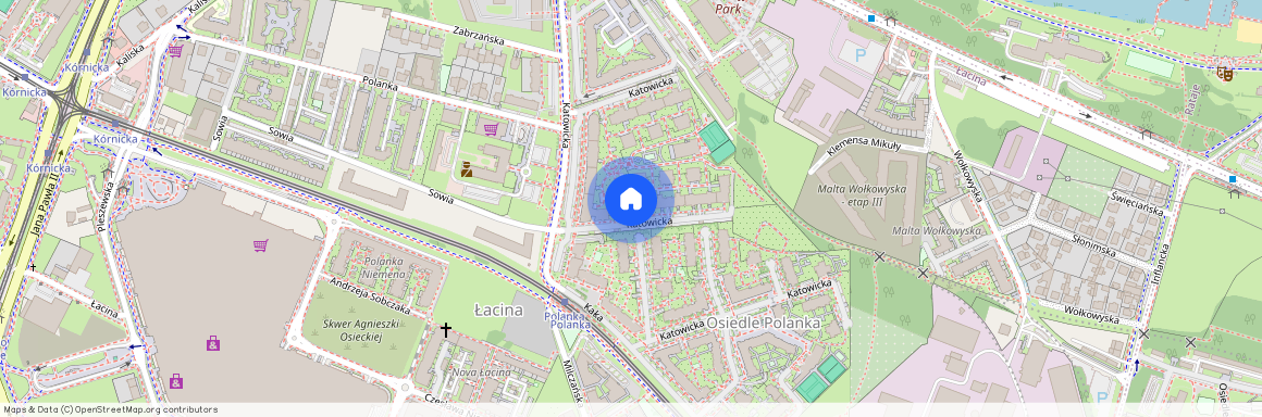 ul. Katowicka 37, Łacina, Nowe Miasto, Poznań, wielkopolskie