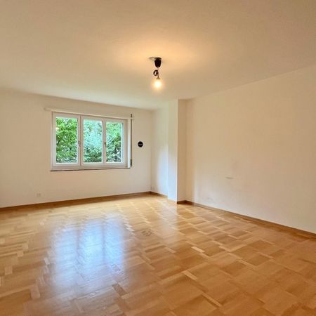 Moderne Wohnung am Zürichberg - Photo 3