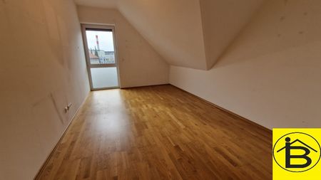 15454 NEUER PREIS! VIEL PLATZ! - Photo 2