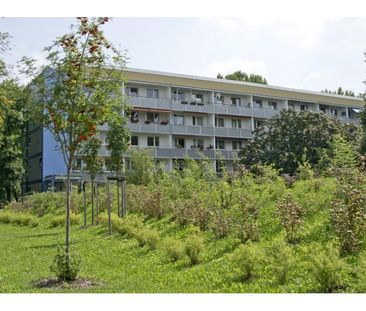 Hyazinthenstraße 2a - Am Tulpenbrunnen - Foto 4