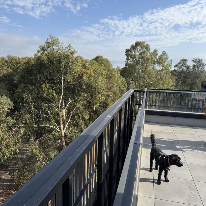 224 Beavers Road, Northcote, VIC 3070 - Photo 1