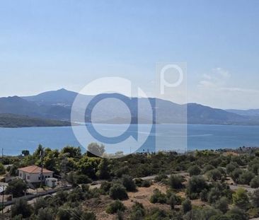 Μονοκατοικία για ενοικίαση Μαλεσίνα - Φωτογραφία 6