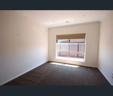 “4 bedroom Modern Family Living in Craigieburn's Best Pocket ✨” - Photo 3