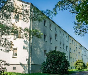 Ein schönes Wohndomizil für Familien in ruhiger Seitenstraße - Photo 2