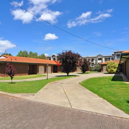 Stylish, Spacious, Two Bedroom Unit in a Quiet & Convenient Location - Photo 3