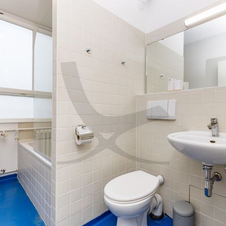 Den Tiergarten vor der Haustür - Photo 4