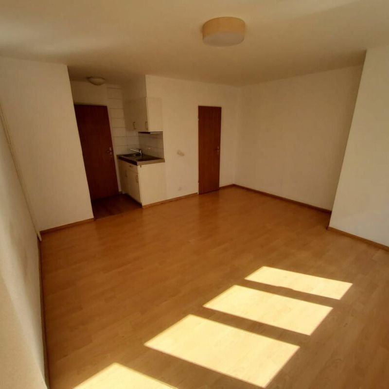 Gemütliches EG-Studio im Herzen von Basel Stadt - Photo 1