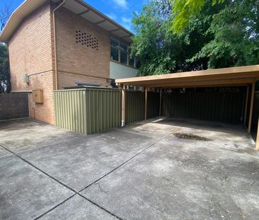 SPACIOUS ONE BR UNIT WITH LARGE PRIVATE GARDEN AND CARPORT - Photo 5