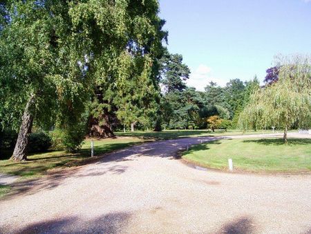 3 bedroom apartment to rent - Photo 4
