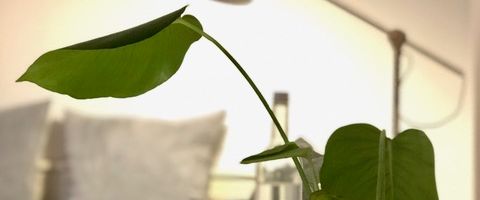 Harmonisch & Ruhig - Apartment in ruhiger Lage Nähe Subbelratherstraße - Foto 1