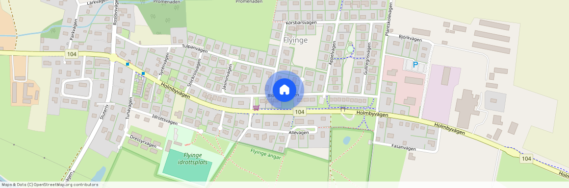 Blomstervägen, Flyinge