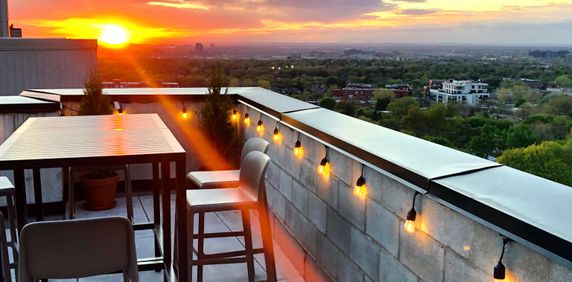 Outremont - 4 1/2 - Terrasse Privée - Photo 2