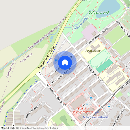 E.-Grube-Str. 207, Neuplanitz, 08062, Zwickau