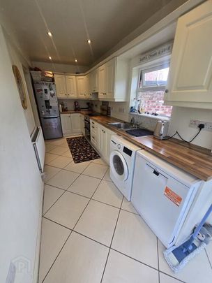 87 Ardmeen Green, Downpatrick, BT30 6JL - Photo 1
