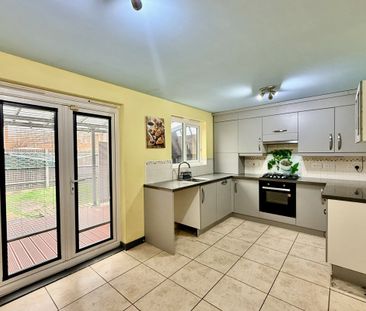 Little Hackets - Photo 3