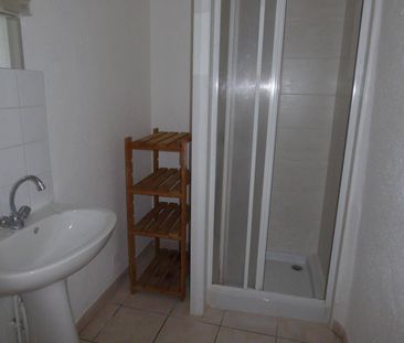 Location appartement 1 pièce 29.3 m² à Aubenas (07200) - Photo 6