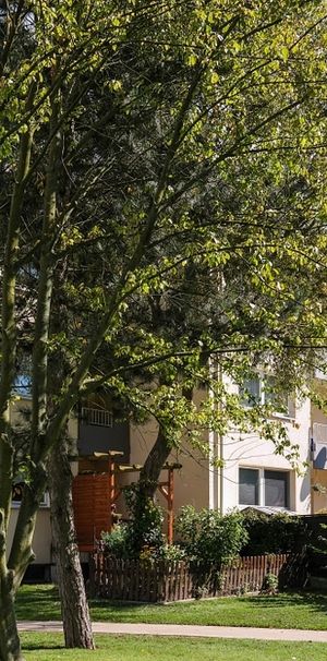 Wohlfühlen in Fallersleben – helle Räume, Einbauküche und viel Platz - Photo 1