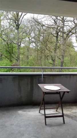 Location appartement 2 pièces - 59.07m² à Fonbeauzard (31140) - Photo 4