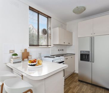 Urban Oasis in Glen Iris - Photo 4