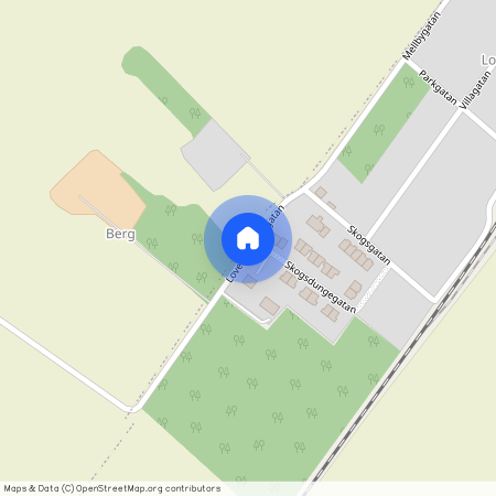 Skogsdungegatan, Lidköping