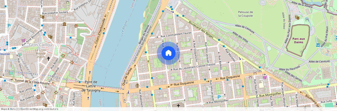 25 RUE VENDOME, LYON 6EME ARRONDISSEMENT l'Helvetie