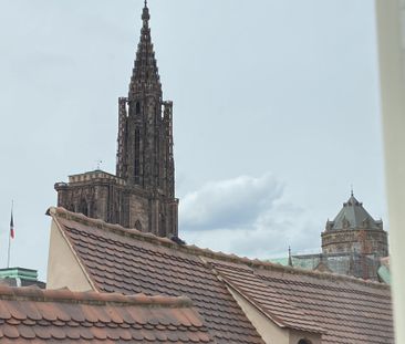 Location Appartement 1 pièce 25m² STRASBOURG 67000 - Photo 4