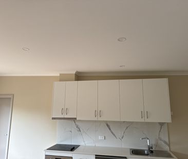 116a Pennefather St, Higgins ACT 2615 - House For Rent | Domain - Photo 3