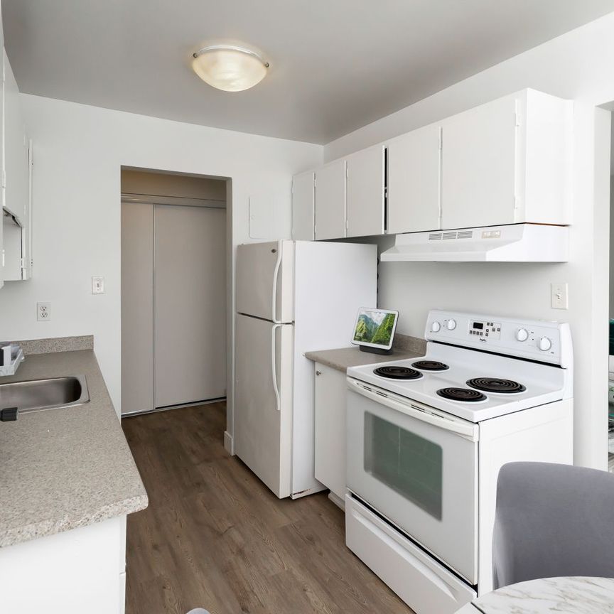 One Bedroom Apartment - Photo 1