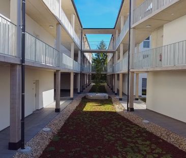 Sonnige Wohlfühloase mit Balkon – moderne 2 Zimmer Mietwohnung (48,... - Foto 6