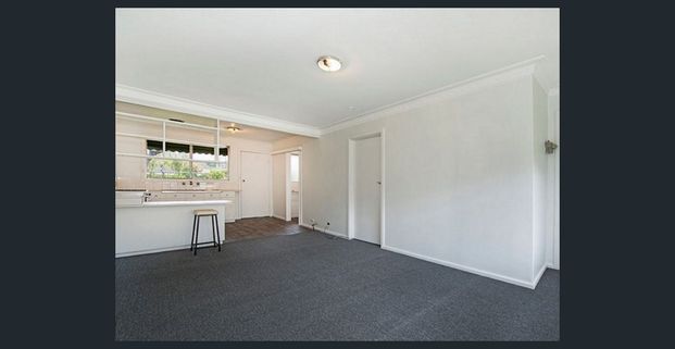 Rare Opportunity on Main Street - Photo 1