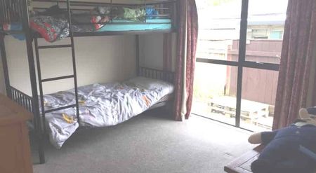 2 Bedroom Home beside the Maitai - Photo 3